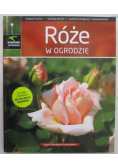 Róże w ogrodzie