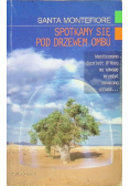 Spotkamy się pod drzewem ombu