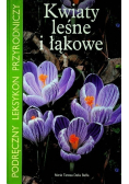 Kwiaty leśne i łąkowe
