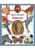 Świat w obrazkach. Zwierzęta