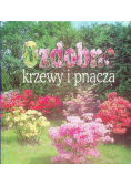 Ozdobne krzewy i pnącza