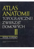 Atlas Anatomii topograficznej zwierząt domowych Tom II