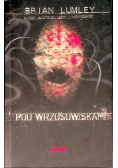 Pod wrzosowiskami