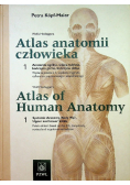 Atlas anatomii człowieka Tom 1