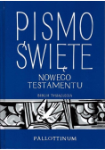 Pismo Święte Nowego Testamentu