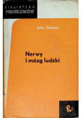 Nerwy i mózg ludzki