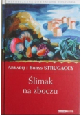 Ślimak na zboczu