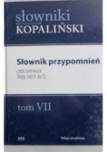 Słownik przypomnień Tom VII