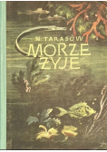 Morze żyje