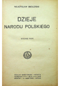 Dzieje narodu Polskiego 1919 r