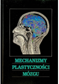 Mechanizmy plastyczności mózgu