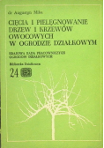 Cięcia i pielęgnowanie drzew i krzewów
