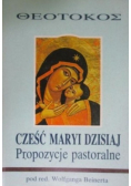 Cześć Maryi dzisiaj propozycje pastoralne