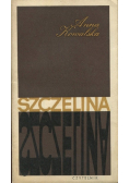 Szczelina