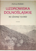 Uzdrowiska dolnośląskie na dawnej rycinie