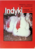Indyk Hodowla i użytkowanie