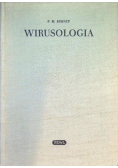 Wirusologia