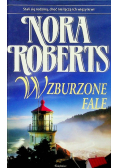 Wzburzone fale