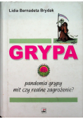 Grypa pandemia grypy mit czy realne zagrożenie?