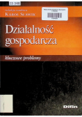 Działalność gospodarcza Kluczowe problemy