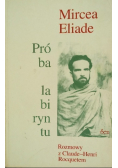 Próba labiryntu