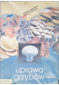 Uprawa grzybów