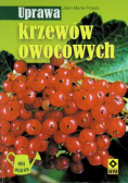 Uprawa krzewów owocowych