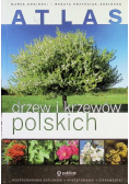 Atlas drzew i krzewów polskich