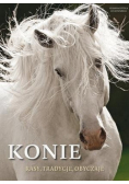Konie Rasy, tradycje, obyczaje