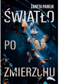 Światło po zmierzchu