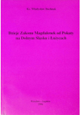 Bochnak Władysław - Dzieje zakonu Magdalenek