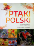 Ptaki Polski