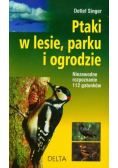 Ptaki w lesie parku ogrodzie