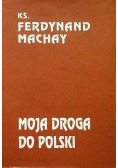 Moja droga do Polski