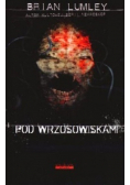 Pod wrzosowiskami