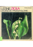 Leśne zioła lecznicze i przemysłowe