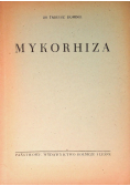 Mykorhiza