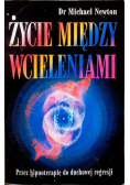 Życie między wcieleniami