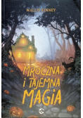 Mroczna i tajemna magia