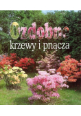 Ozdobne krzewy i pnącza