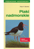 Ptaki nadmorskie