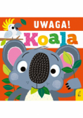 Uwaga, koala!