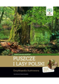 Puszcze i lasy Polski