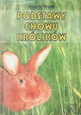 Podstawy chowu królików