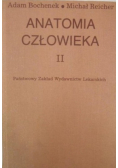 Anatomia człowieka Tom 2