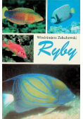 Ryby