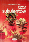 Rośliny w domu: Czar sukulentów