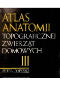 Atlas anatomii topograficznej zwierząt domowych Tom III