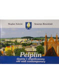 Pelplin dawny i współczesny