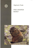 Pod okapem burzy